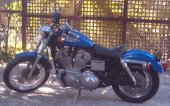 1997 Harley-Davidson 883 Sportster Standard photo